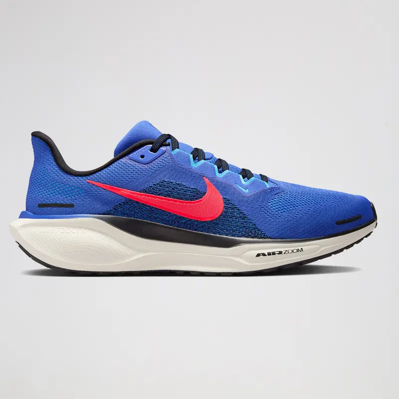 Nike Pegasus 41