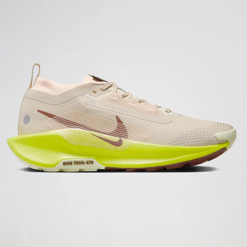 Nike Pegasus Trail 5 GTX